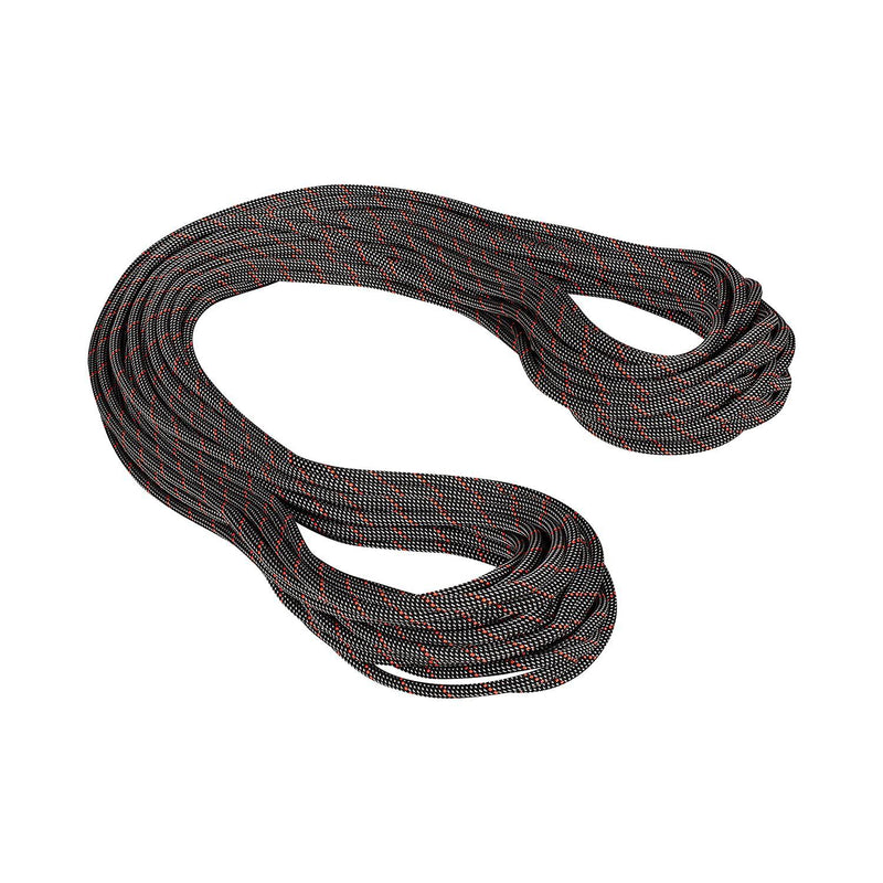 Load image into Gallery viewer, Mammut 9.8 Crag Classic Rope
